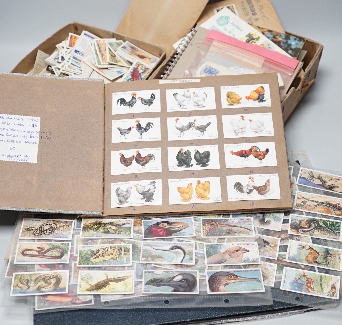 Cigarette and tea cards and loose stamps, including sets of British birds by Phillips, Ogdens and Carrolls